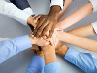Professional Collaboration